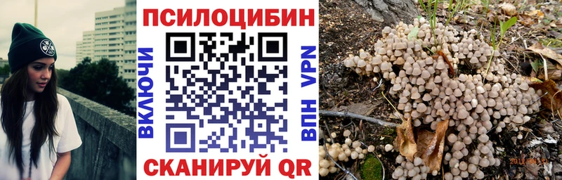 Купить где  Гай  Галлюциногенные грибы ЛСД 